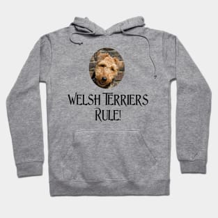 Welsh Terriers Rule! Hoodie